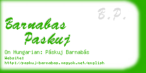 barnabas paskuj business card