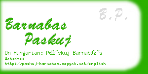 barnabas paskuj business card